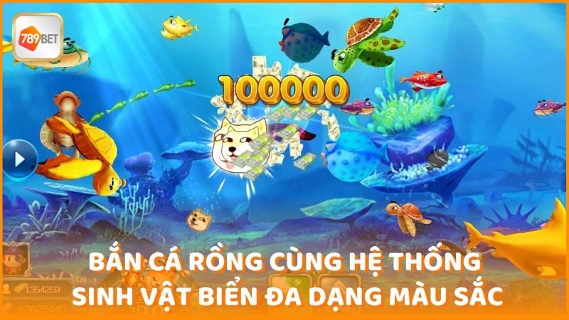 Ban Ca Rong Cung He Thong Sinh Vat Bien Da Dang Mau Sac