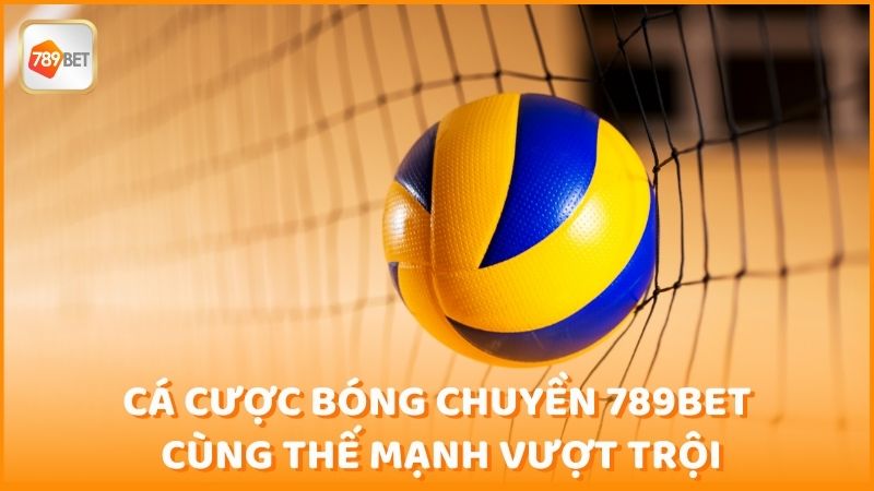 Ca Cuoc Bong Chuyen 789bet Cung The Manh Vuot Troi