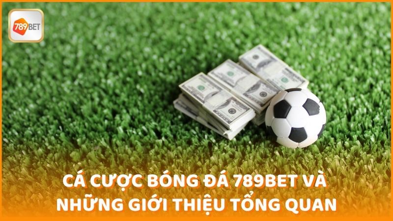 Ca Cuoc Bong Da 789bet Va Nhung Gioi Thieu Tong Quan