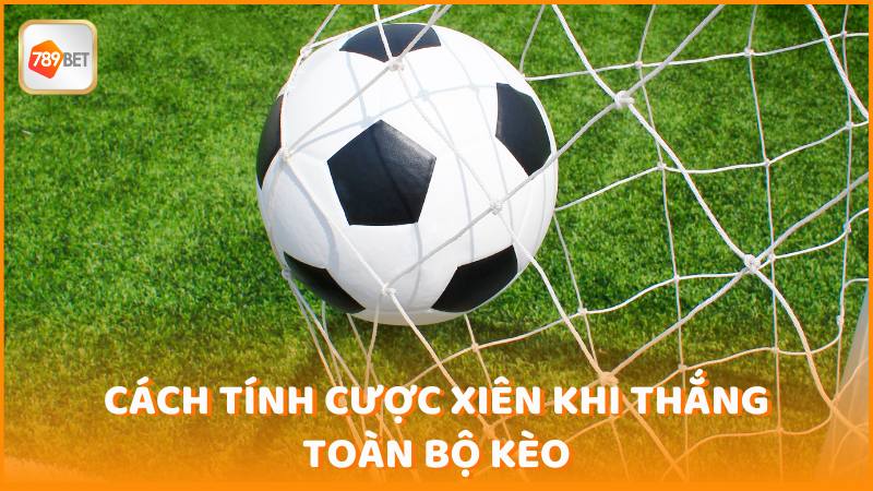 Cach Tinh Cuoc Xien Khi Thang Toan Bo Keo