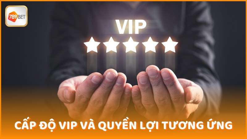 Cap Do Vip Va Quyen Loi Tuong Ung