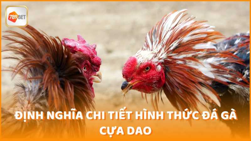 Dinh Nghia Chi Tiet Hinh Thuc Da Ga Cua Dao (1)