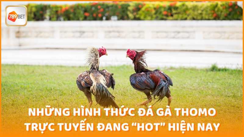 Nhung Hinh Thuc Da Ga Thomo Truc Tuyen (1)