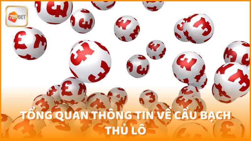 Tong Quan Thong Tin Ve Cau Bach Thu Lo (1)