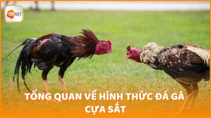 Tong Quan Ve Hinh Thuc Da Ga Cua Sat (1)